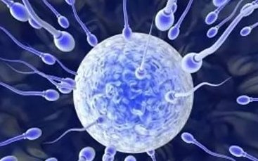 泰国三代试管婴儿费用如何减少开支？