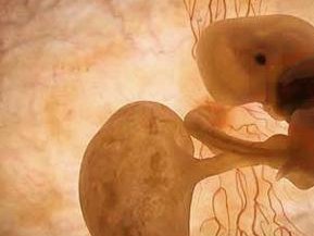 北京试管婴儿排名比较好成功率较高的5家医院介绍-截图收藏