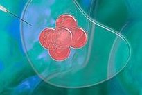 助孕机构能做哪些事情？宜昌三大助孕公司服务介绍