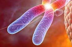 杭州做试管婴儿多少钱(杭州做试管要不要结婚证)